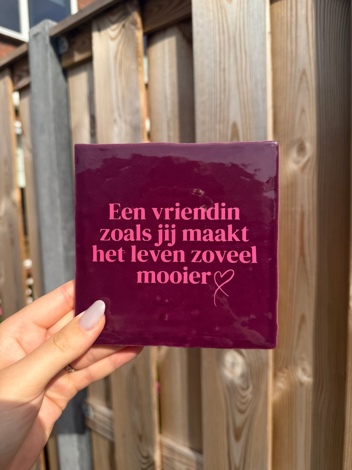 Tegeltje een vriendin zoals jij